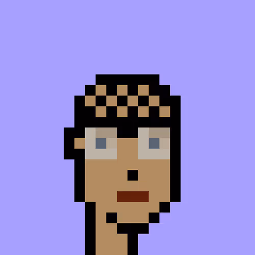V1 PUNK #3050